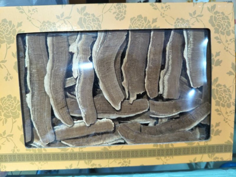 切片灵芝