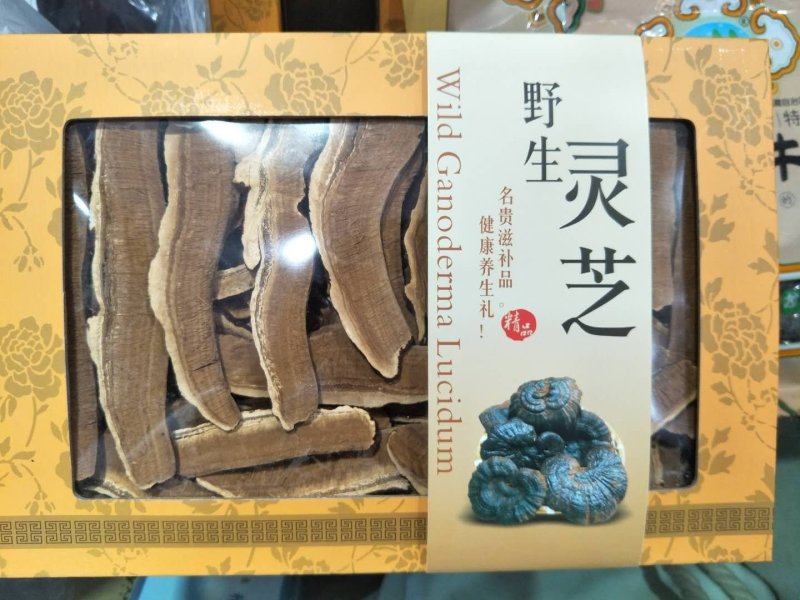 切片灵芝