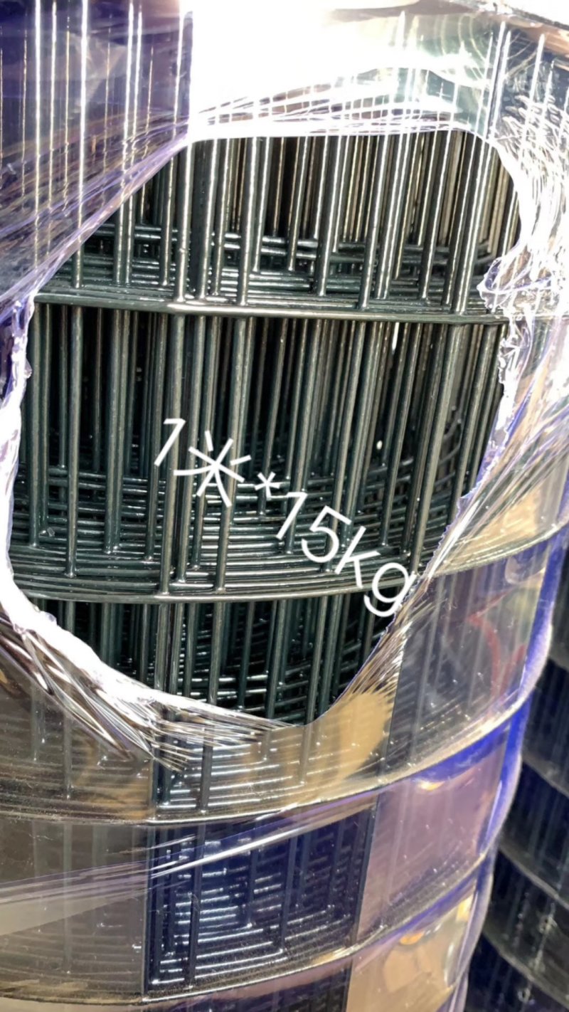 荷兰网