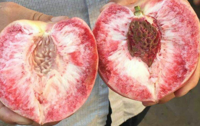预售七月份红不软