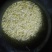 豆好香瓦罐豆芽，绿色健康，***豆芽。瓦罐豆芽自然生长。