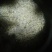 豆好香瓦罐豆芽，绿色健康，***豆芽。瓦罐豆芽自然生长。