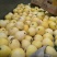 博洋，羊角蜜，绿宝石，花金刚，白瓜，等各种甜瓜大量上市