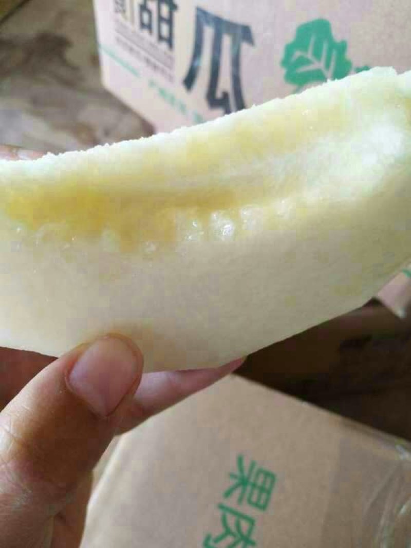 阎良甜瓜