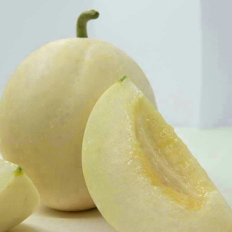 阎良甜瓜