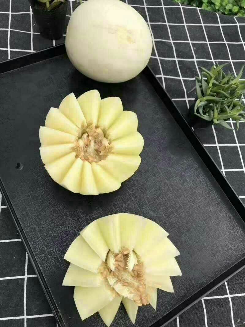 阎良甜瓜