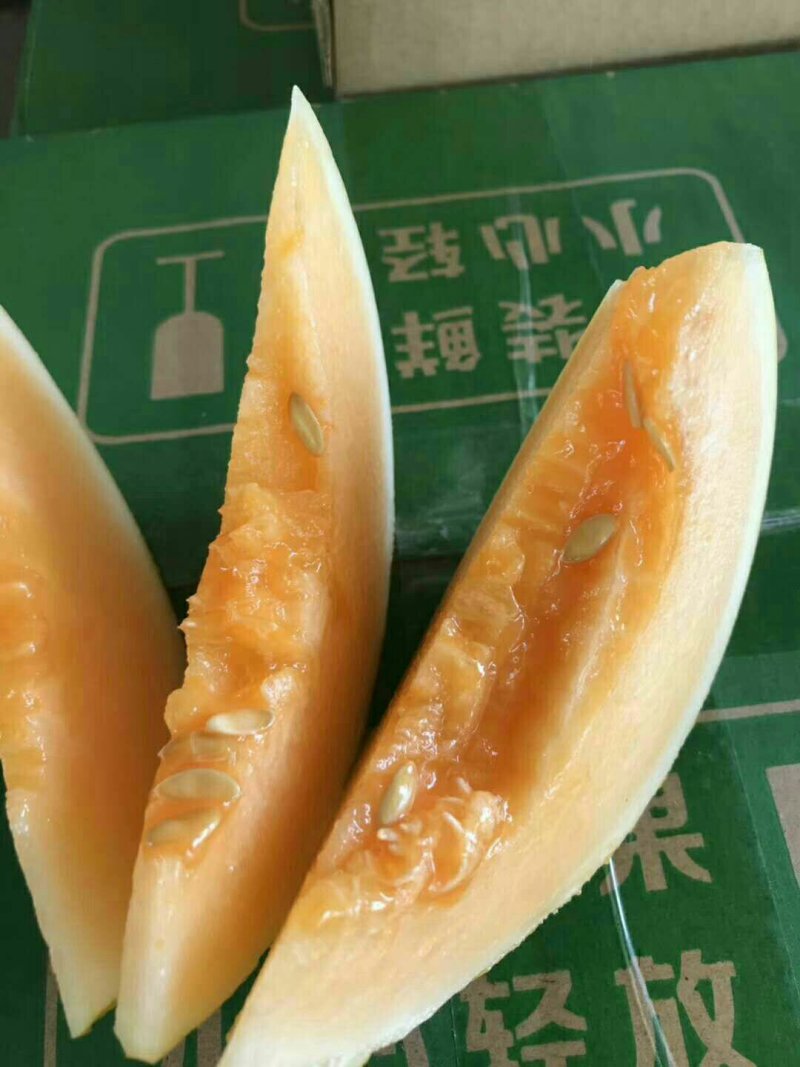 阎良甜瓜
