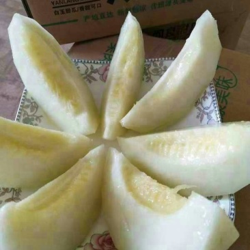 阎良甜瓜