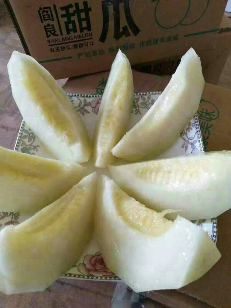 阎良甜瓜