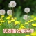 野生蒲公英种子春秋季种植蒲公英用途广易种植亩用量3斤左右