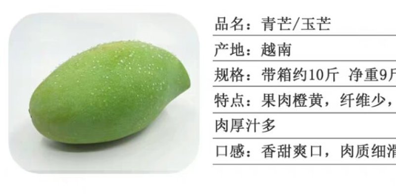 青芒玉芒单果种300g~400g10斤49元包邮