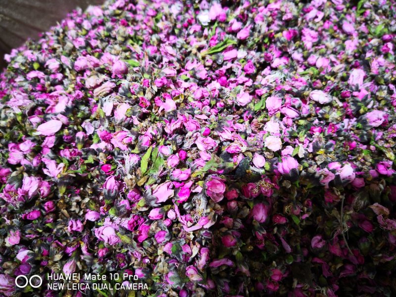 桃花干货泡水1斤起包邮量大从优欢迎选购