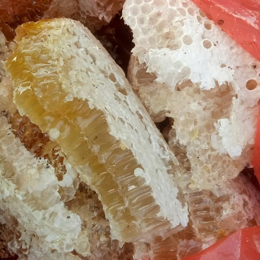 野生蜂蜜