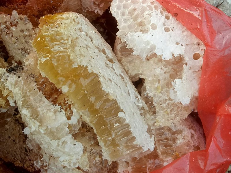 野生蜂蜜