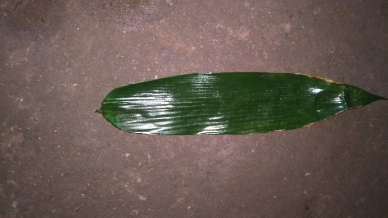 高山粽叶包粽*香，量大从优。