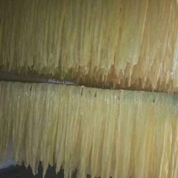腐竹
