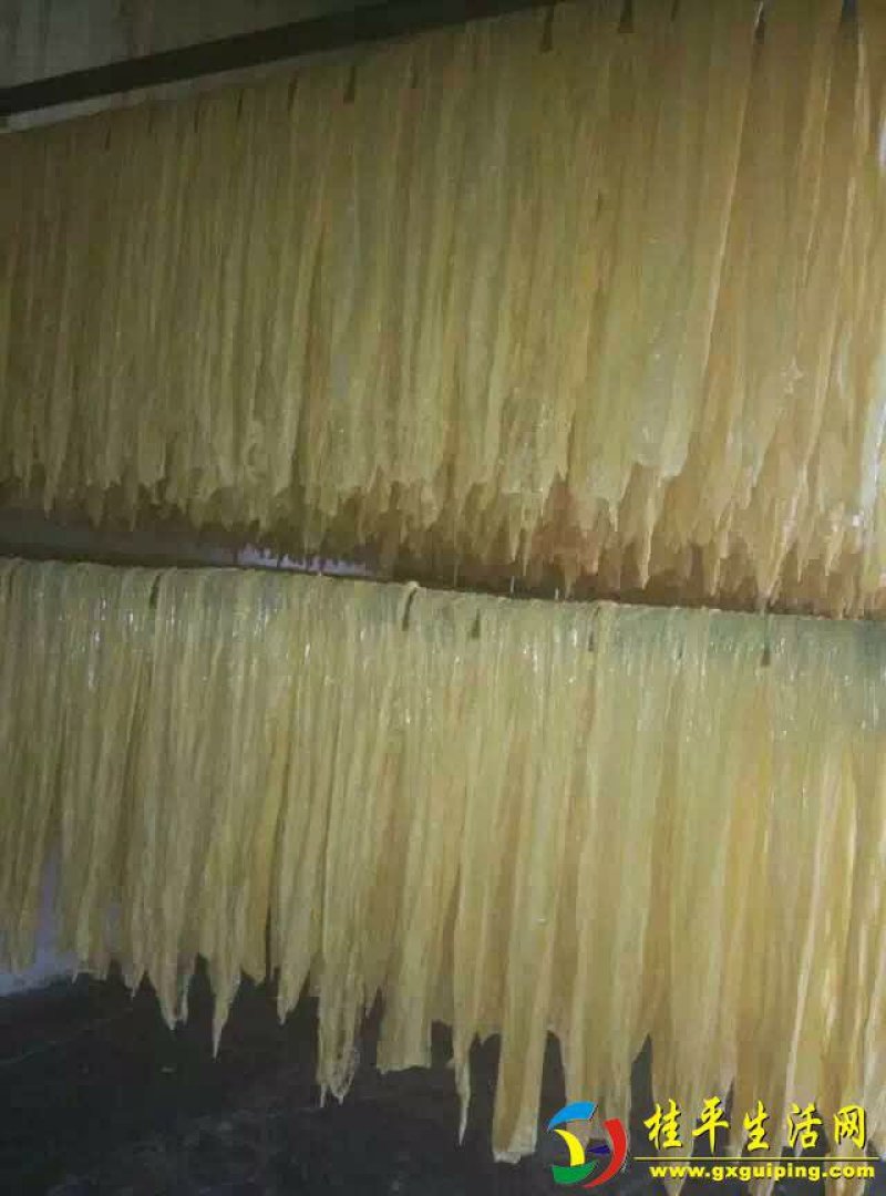 腐竹