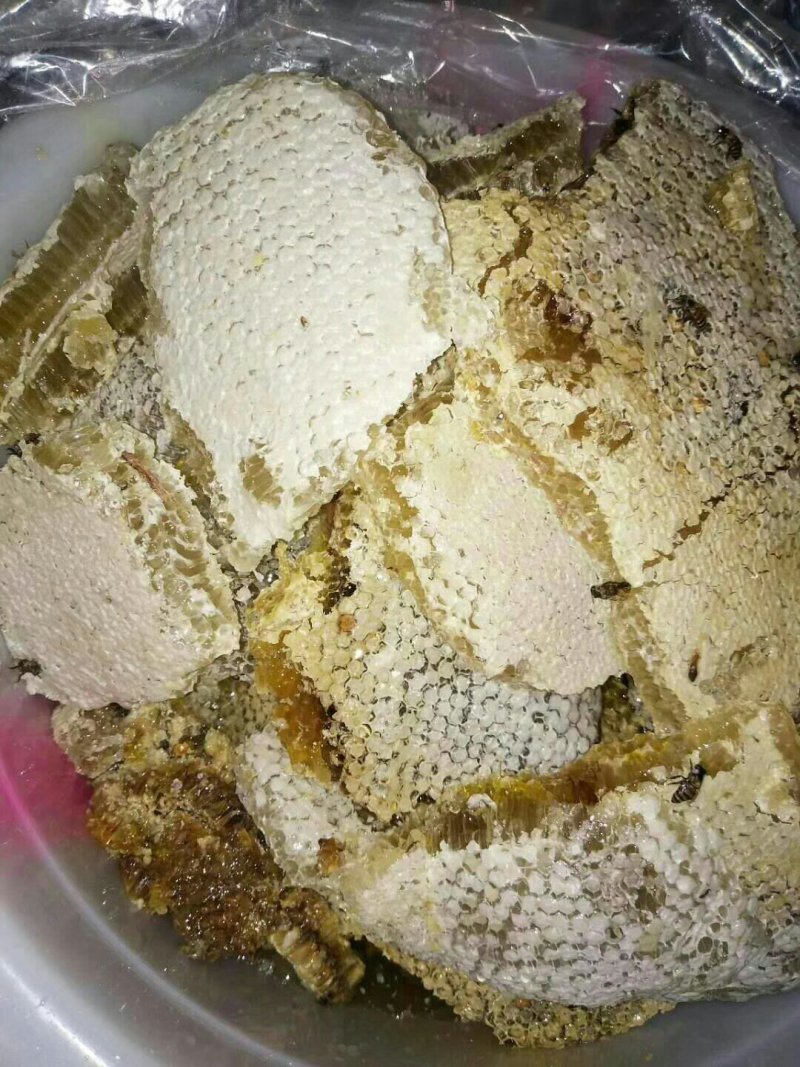 蜂蜜树上挂蜂