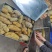 云南野生蜂蜜包真包纯包野生假一赔十，只做良心蜂蜜，放心蜂