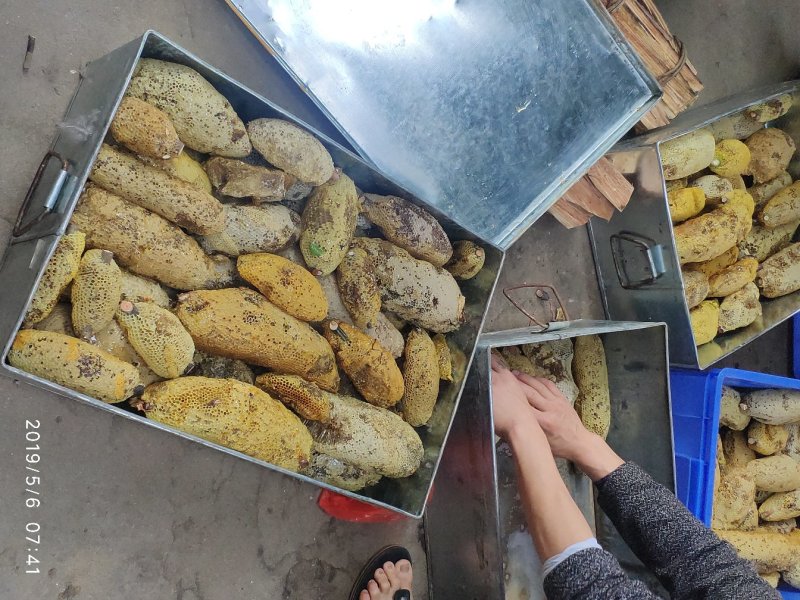 云南野生蜂蜜包真包纯包野生假一赔十，只做良心蜂蜜，放心蜂