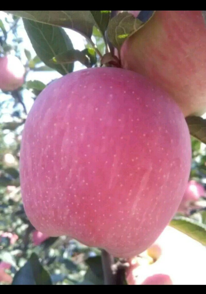 红星美美美美美美美美美美美美美美美美美美美美美美美美美美