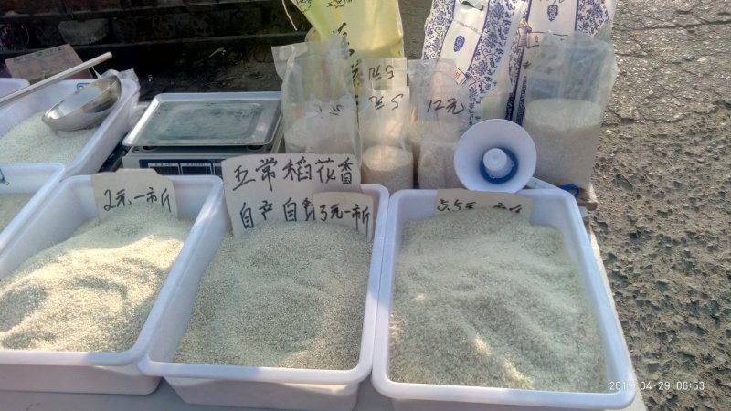 东北大米黑龙江小粒圆珍珠米，新鲜营养鲜米