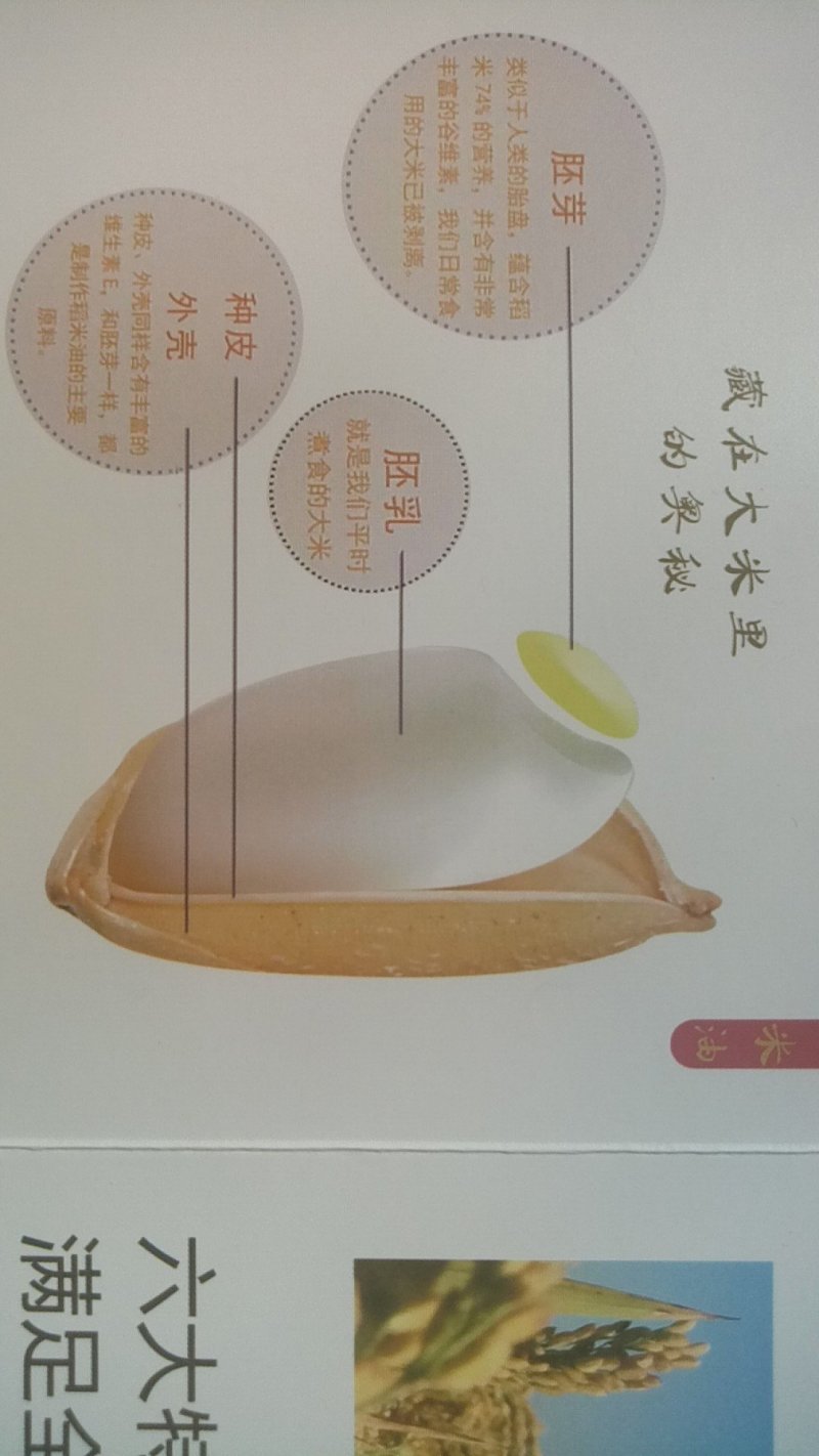 东北大米黑龙江小粒圆珍珠米，新鲜营养鲜米