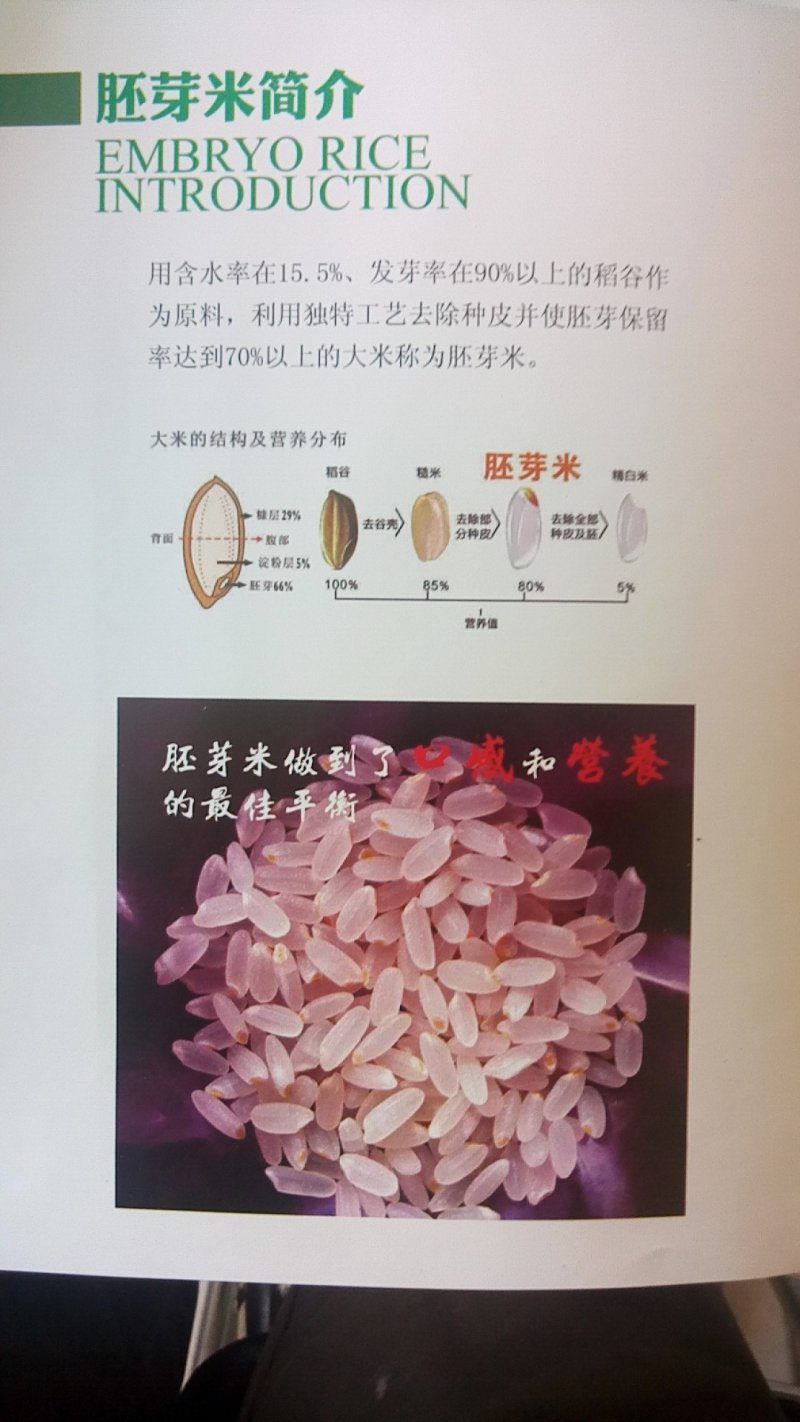东北大米黑龙江小粒圆珍珠米，新鲜营养鲜米