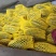 【推荐】绿宝甜瓜博洋91甜瓜花姑娘二零品种齐全
