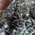四川省广安岳池干野生的蒲公英