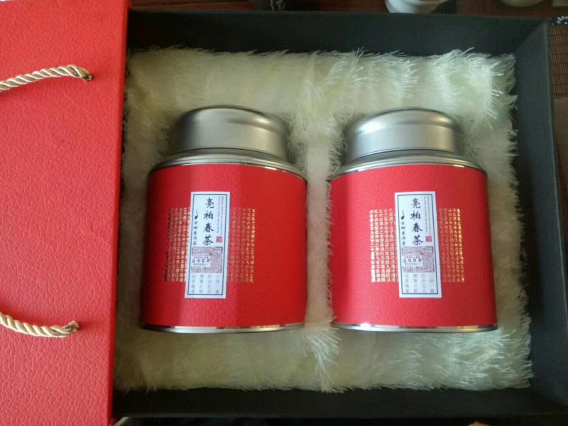 云南普洱毛尖，红茶古树