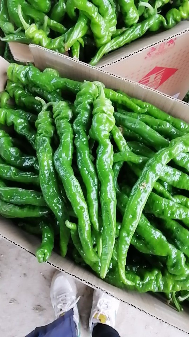螺丝辣椒