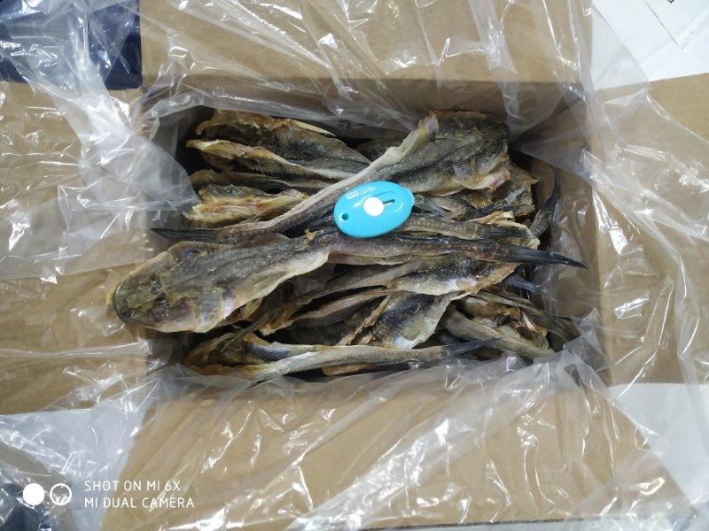 鱼干送礼送朋友