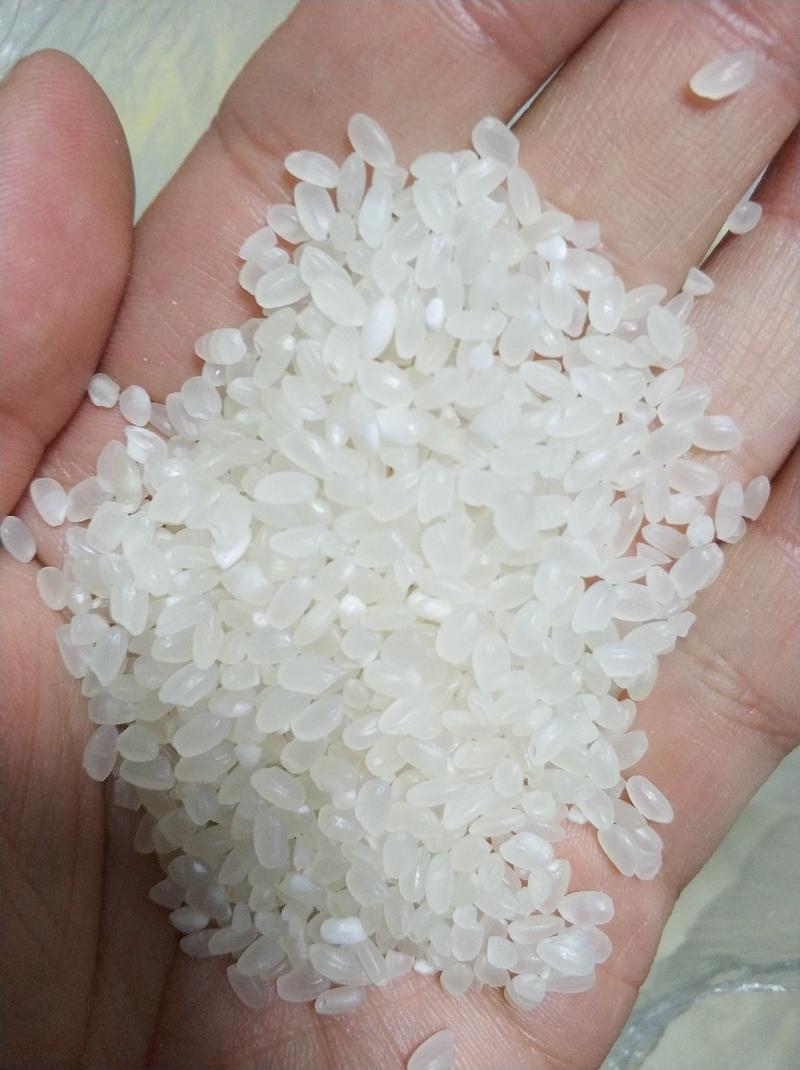 米珍珠米粳米东北米江苏米山东米