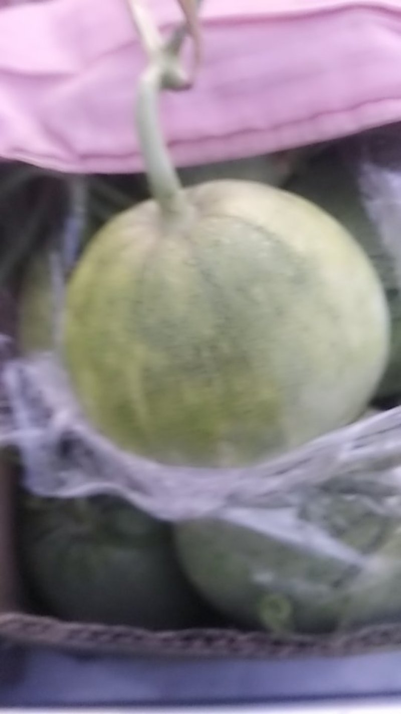 绿宝