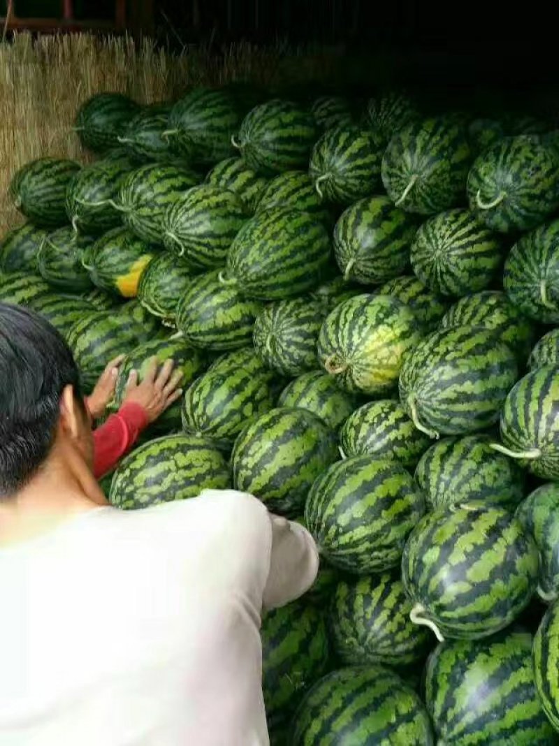 甜王西瓜大量上了，有需要的客户请打电话！