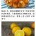 冰糖橙