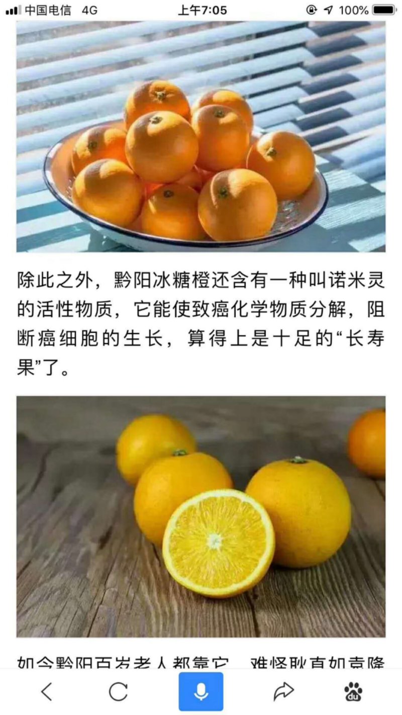 冰糖橙