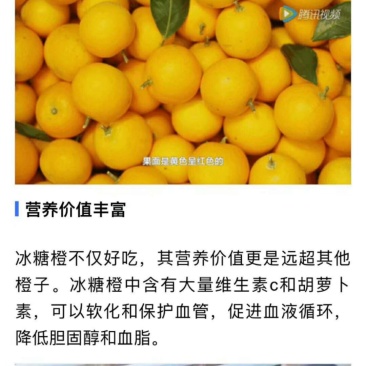 冰糖橙