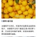 冰糖橙