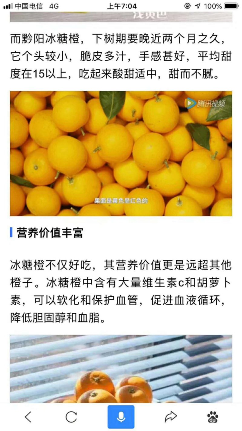 冰糖橙