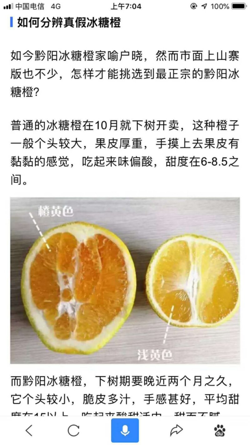 冰糖橙