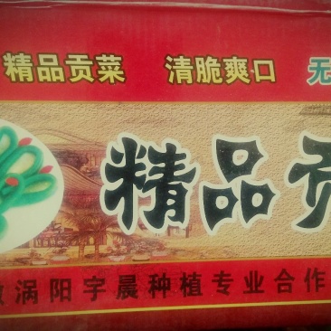 精品贡菜