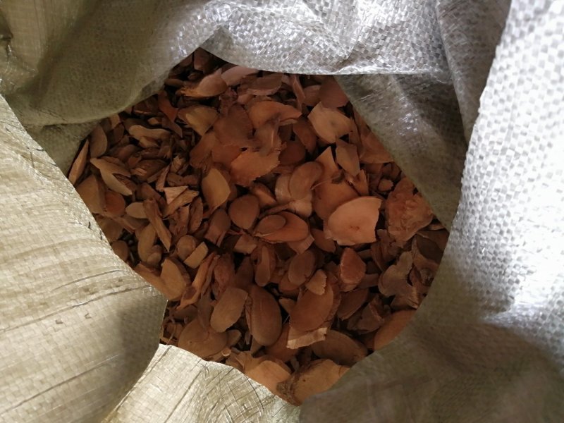 新鲜乌药，切片靓，饮片级