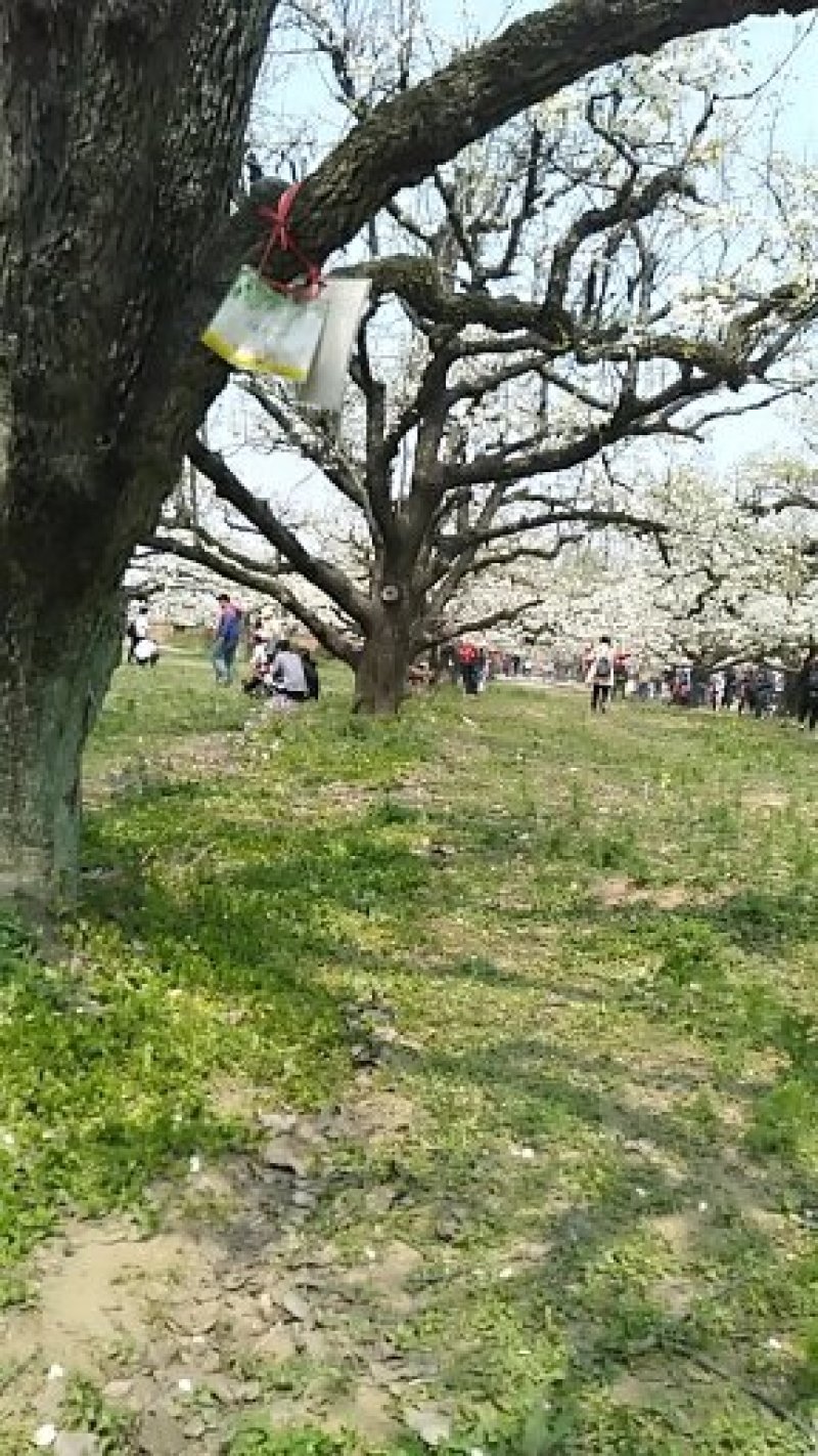 收购和出售