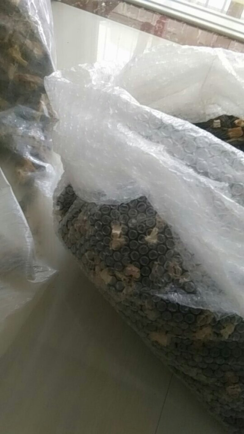 棚种羊肚菌干货