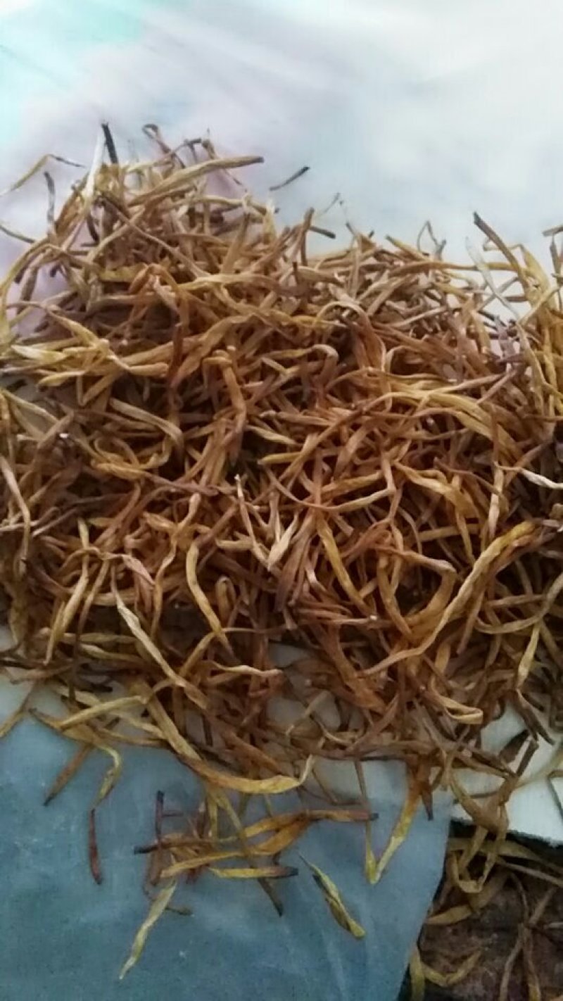 大量湖南黄花菜二级大条菜