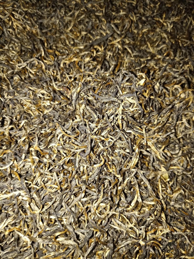 高山金骏眉红茶花果香单芽梅占金骏眉