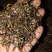 高山金骏眉红茶花果香单芽梅占金骏眉
