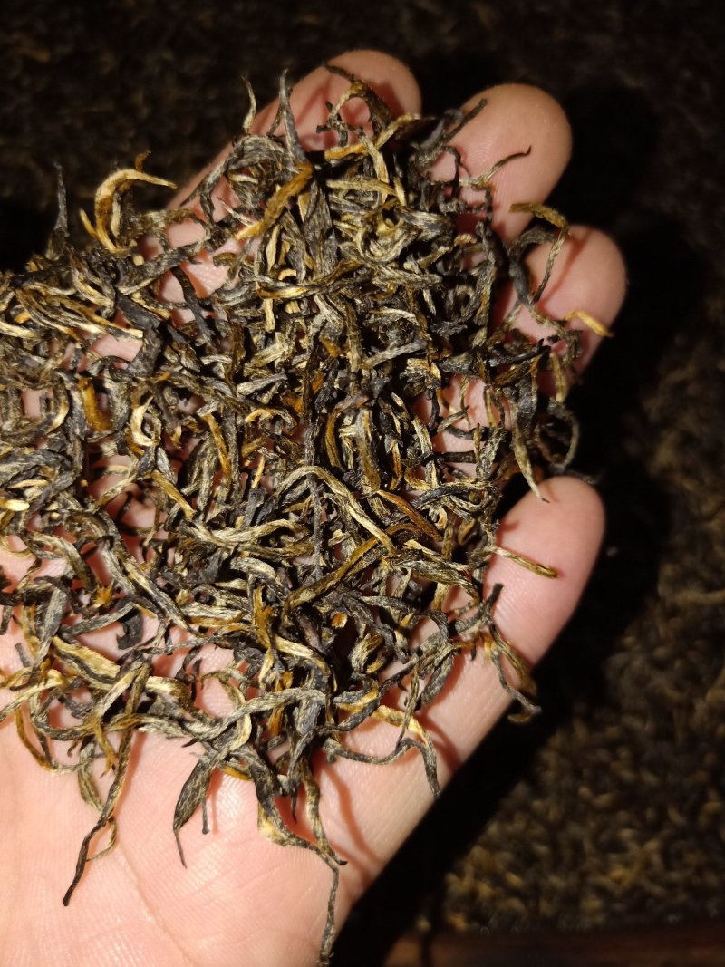 高山金骏眉红茶花果香单芽梅占金骏眉